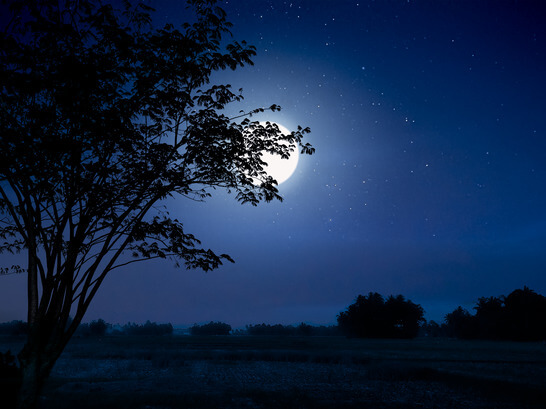 good dream